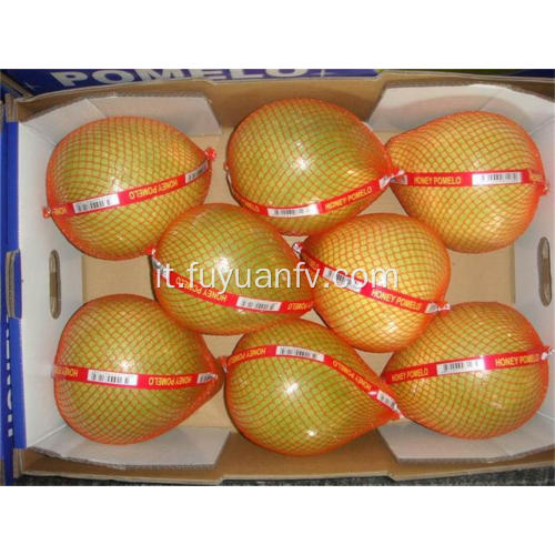 Pomelo fresco Hotsale con buon gusto